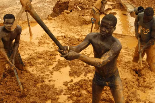 Những mỏ vàng 'thổ phỉ', nỗi nhức nhối ở Ghana và châu Phi