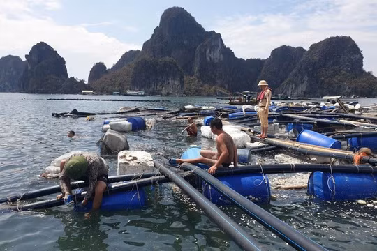 Vì sao Việt Nam bị ảnh hưởng bão, lũ lớn nhưng tăng trưởng vẫn cao?