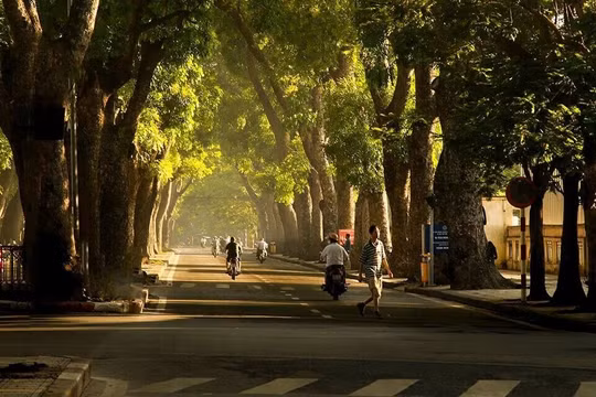 Dự báo thời tiết ngày 8/10: Hà Nội sáng sớm có sương mù, ngày nắng