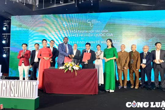 Các chuyên gia chia sẻ về chiến lược phát triển ngành làm đẹp tại Việt Nam