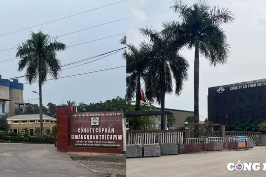 Thái Nguyên: Loạt gói thầu mua xi măng xây dựng kết cấu hạ tầng về tay 'nhà thầu quen'