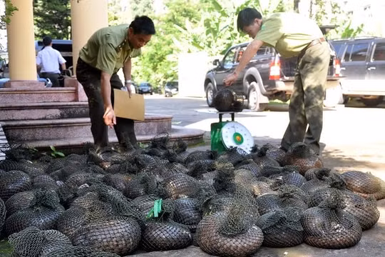 Hà Nội tăng cường công tác quản lý, bảo vệ động vật hoang dã