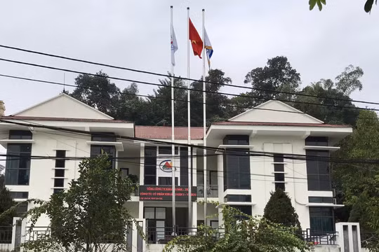 Lào Cai: Vi phạm luật bảo vệ môi trường, 2 doanh nghiệp lớn bị xử phạt 338 triệu đồng