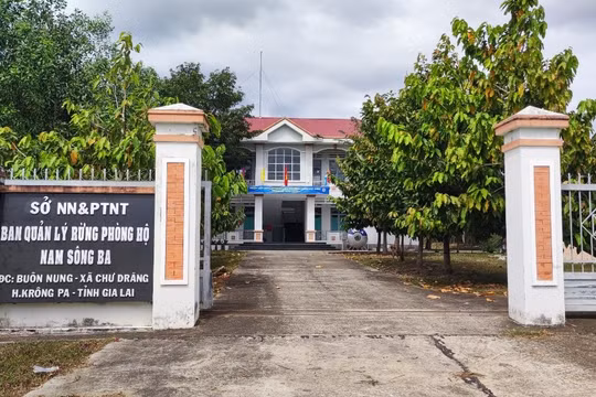 Đề nghị Công an điều tra vụ giả mạo quyết định của Chủ tịch tỉnh Gia Lai để giao đất trồng rừng