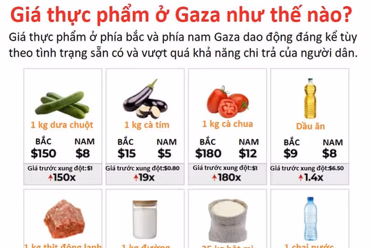 Giá thực phẩm ở Gaza cao khủng khiếp, lên tới 180 USD mỗi kg cà chua