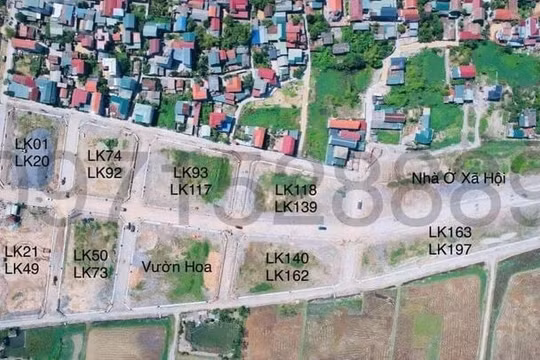 Tất cả các lô đất đấu giá tại Thanh Oai hôm nay đều bất thành