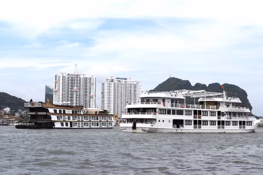 Hàng loạt du thuyền đêm trên vịnh Hạ Long huỷ tour để tránh siêu bão Yagi