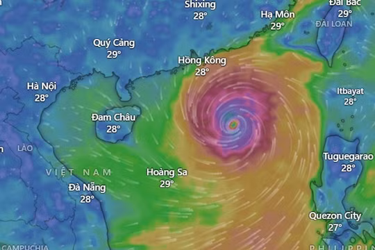 Chủ tịch TP Hà Nội chỉ đạo chủ động ứng phó bão số 3 Yagi