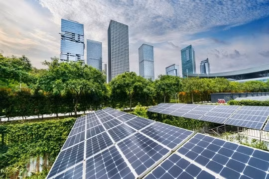 Việt Nam phát triển bền vững theo hướng chuyển đổi xanh, đưa phát thải ròng bằng '0' vào năm 2050