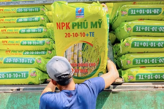6 tháng đầu năm 2024, PVFCCo tăng trưởng ấn tượng trong tiêu thụ và mở rộng thị trường