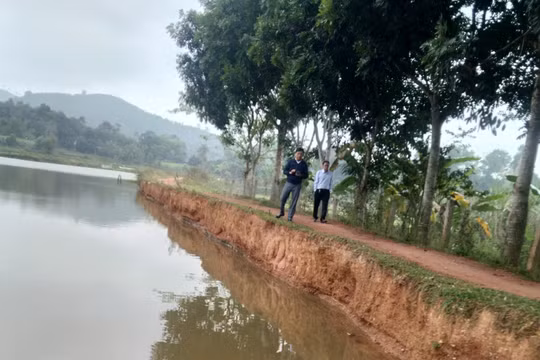 Tân Kỳ (Nghệ An): Đập Đồng Mùa sạt lở nghiêm trọng, người dân ở Nghĩa Hành lo lắng