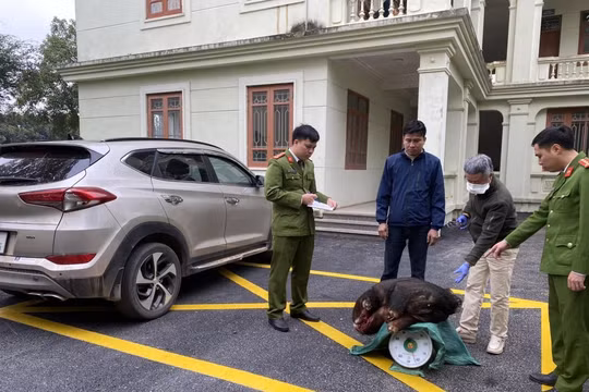 Ninh Bình:Nhức nhối nạn săn bắt, buôn bán động vật hoang dã