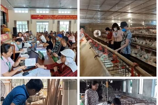 Hà Nam: Hơn 17,4 nghìn hội viên phụ nữ đang sử dụng vốn vay tín dụng chính sách