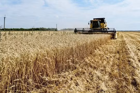 Ukraine đã xuất khẩu 15 triệu tấn hàng hóa qua hành lang vận chuyển mới