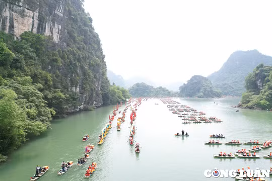 Ninh Bình: Tập trung cao độ sản xuất công nghiệp, dịch vụ và sản xuất nông nghiệp