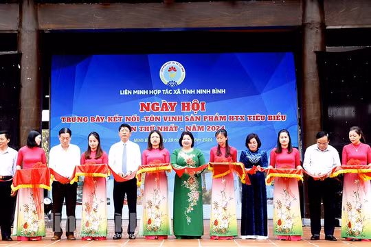 Hơn 150 sản phẩm đạt chất lượng OCOP tại Ngày hội trưng bày, kết nối, tôn vinh các sản phẩm Hợp tác xã tiêu biểu