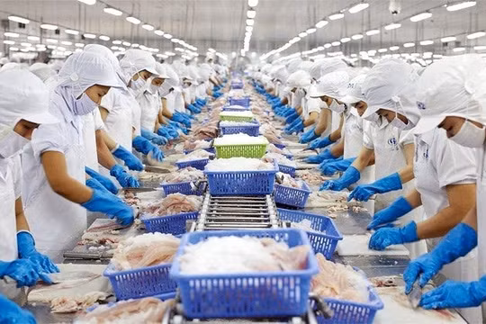Agribank tiếp tục triển khai 8.000 tỷ đồng vốn tín dụng ưu đãi dành cho lĩnh vực lâm, thủy sản