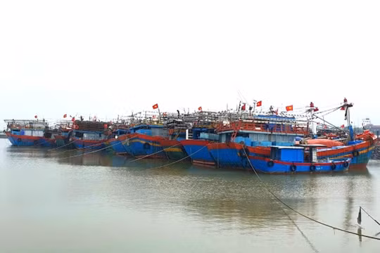 Quảng Bình, Hà Tĩnh khẩn trương ứng phó nguy cơ áp thấp nhiệt đới mạnh lên thành bão