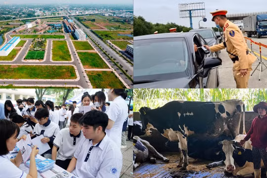 Nóng 18h: Tiếp tục áp dụng bảng giá đất đến hết năm 2025