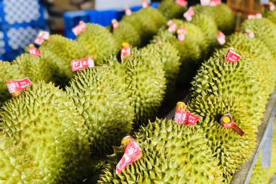 Doanh nghiệp rau quả Việt tranh mua, tranh bán khi thị trường biến động