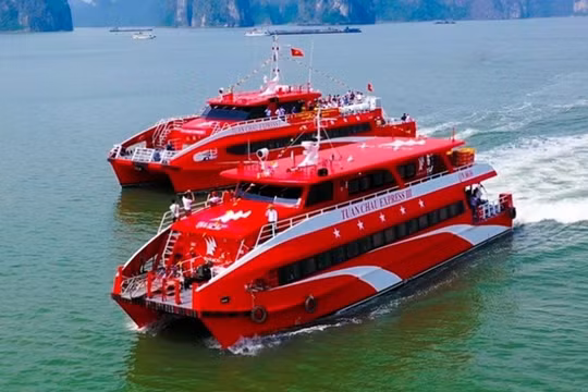 Tàu cao tốc Hạ Long - Cát Bà hoạt động từ tháng 11