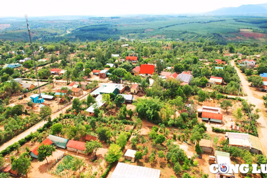 Gia Lai: Tập trung đầu tư các nguồn lực thúc đẩy phát triển kinh tế vùng dân tộc thiểu số