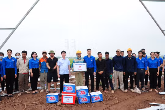 Tuổi trẻ Ninh Bình dốc sức hỗ trợ địa phương và các đơn vị thi công công trình đường dây 500 kV mạch 3