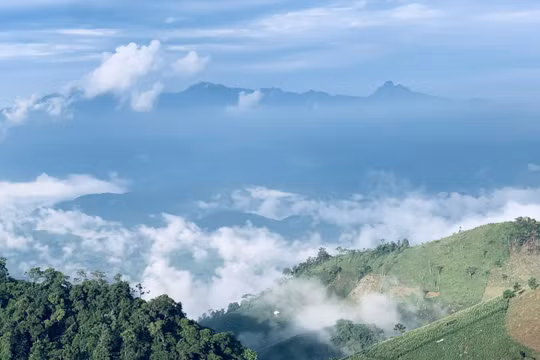 Vietnam Airlines chung tay thực hiện chiến dịch “Vì một Việt Nam xanh và phát triển bền vững”