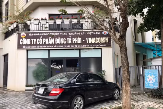 Lào Cai: Thu hồi giấy phép khai thác và xử phạt 3 doanh nghiệp vi phạm bảo vệ môi trường