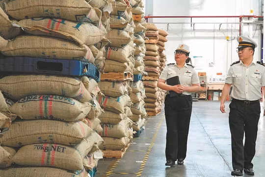 Trung Quốc tăng mạnh nhập khẩu cà phê
