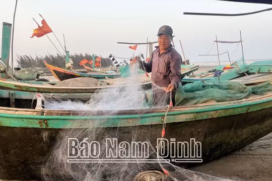 Nam Định: Đẩy mạnh thực hiện phòng, chống khai thác hải sản bất hợp pháp IUU