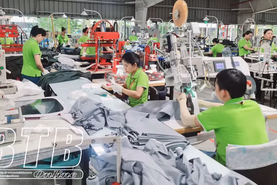 Thái Bình: 6 tháng đầu năm 2024, GRDP tăng 7,96% so với cùng kỳ