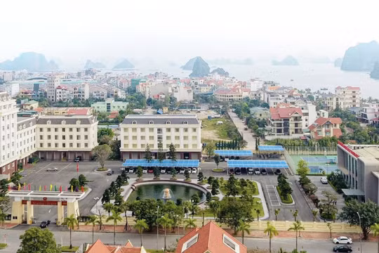 Tổng công ty Đông Bắc: Nơi hội tụ của trí tuệ và sức mạnh tổng hợp