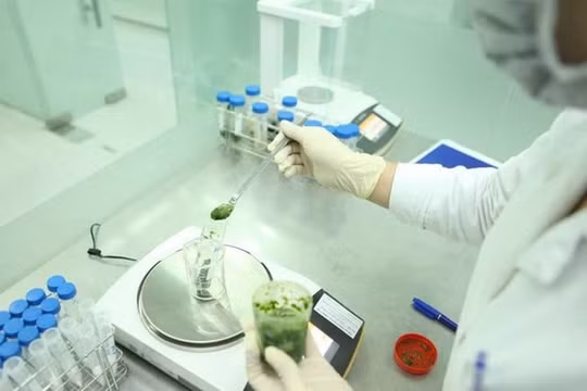 Hòa Bình: Cảnh báo thủ đoạn giả mạo các đoàn thanh tra, kiểm tra an toàn thực phẩm