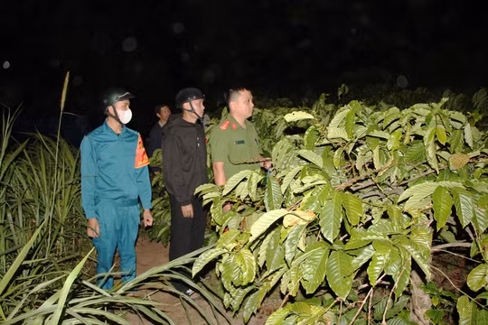 Gia Lai: Cà phê được giá, Công an trắng đêm tuần tra, bảo vệ
