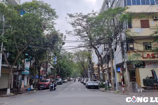 TP Hải Phòng cấm đỗ xe ô tô trên các tuyến đường trung tâm thành phố từ ngày 1/4/2025