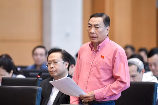 Tăng cường quản lý, xử lý vi phạm trong đấu giá quyền sử dụng đất là cần thiết