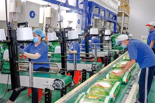 Trung An (TAR) từ lãi hóa lỗ 7,5 tỷ đồng sau kiểm toán, cổ phiếu lao dốc cùng loạt tin xấu 'bủa vây'