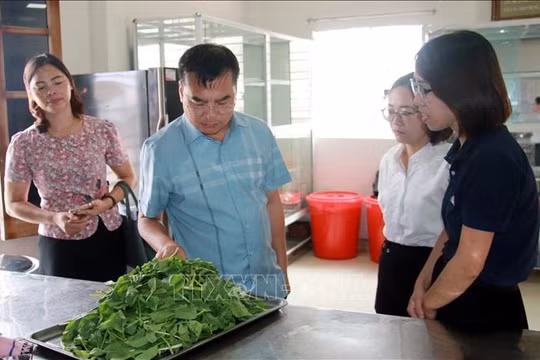 Nam Định: Hơn 200 cơ sở vi phạm an toàn thực phẩm