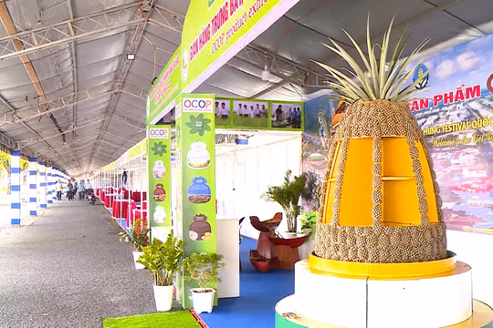 Bac A Bank tham gia festival quốc tế ngành hàng lúa gạo Việt Nam - Hậu Giang 2023