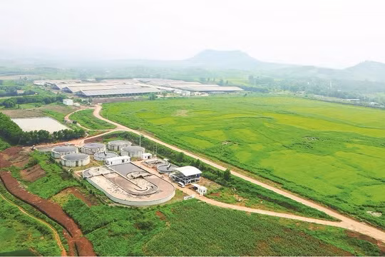 Net Zero: Bước đệm cho kỷ nguyên vươn mình