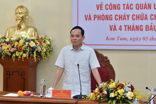 Linh hoạt trong bố trí biên chế cho lực lượng quản lý, bảo vệ và phòng chống cháy rừng