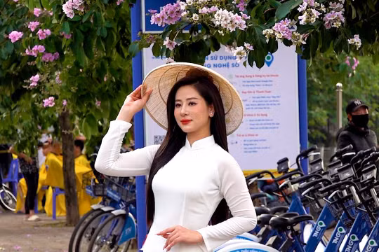 Hà Nội ngập tràn sắc tím bằng lăng thu hút người dân thích thú “check in”