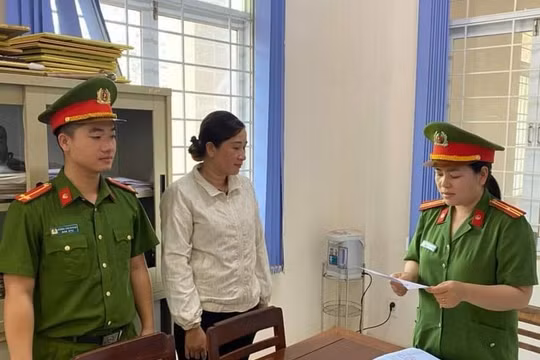 Gia Lai: Khởi tố nữ giám đốc để điều tra về hành vi trốn thuế