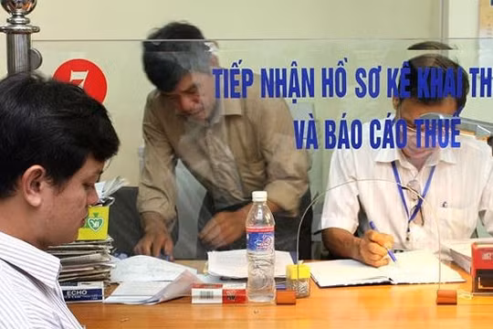 Chính phủ gia hạn thời hạn nộp thuế, tiền thuê đất năm 2024