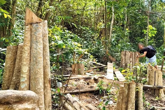 Một công ty lâm nghiệp ở Gia Lai chi hơn 2,7 tỉ đồng nhưng không có chứng từ