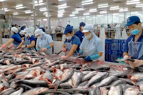 Chủ tịch Nam Việt (ANV) muốn thoái sạch vốn cá nhân: Cổ phiếu tăng 36%, lợi nhuận gấp 18 lần nhưng lãnh đạo vẫn tranh thủ ‘chốt lời’?
