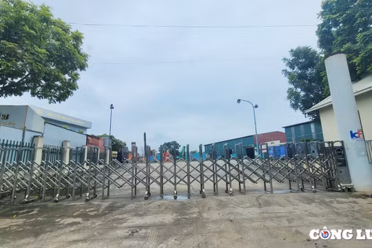 Quốc Oai (TP Hà Nội): Hàng nghìn m2 đất công bị doanh nghiệp sử dụng 'chùa' nhiều năm qua?