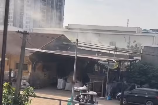 Chủ tịch TP Hà Nội chỉ đạo làm rõ thông tin ô nhiễm môi trường ảnh hưởng tới hàng nghìn người dân tại quận Long Biên