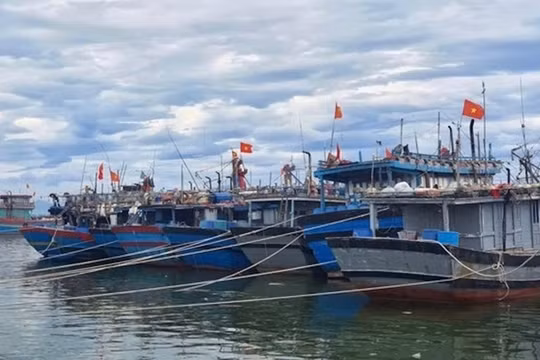 Ứng phó với bão số 8: Các địa phương quản lý chặt chẽ tàu thuyền ra khơi
